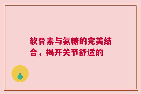 软骨素与氨糖的完美结合，揭开关节舒适的