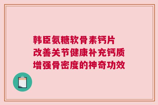 韩臣氨糖软骨素钙片 改善关节健康补充钙质增强骨密度的神奇功效