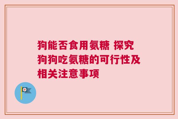 狗能否食用氨糖 探究狗狗吃氨糖的可行性及相关注意事项