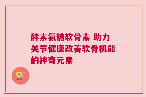 酵素氨糖软骨素 助力关节健康改善软骨机能的神奇元素