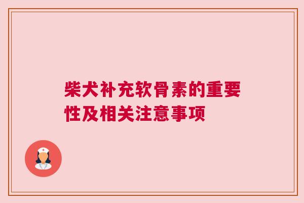 柴犬补充软骨素的重要性及相关注意事项