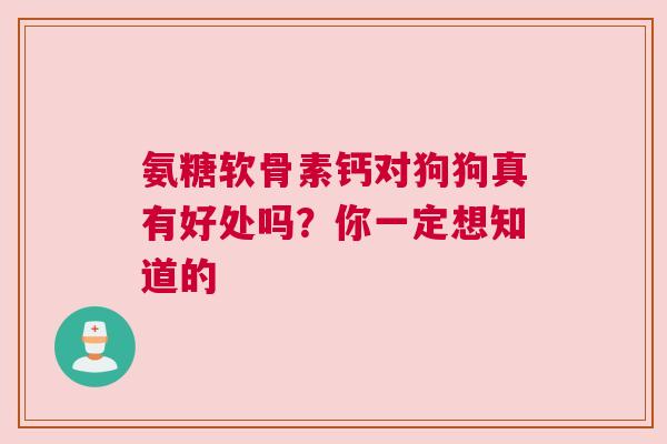 氨糖软骨素钙对狗狗真有好处吗？你一定想知道的