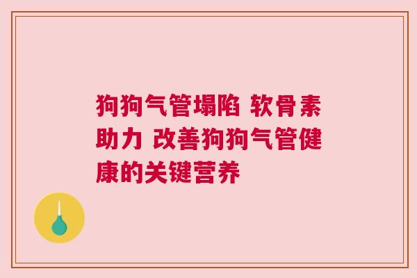 狗狗气管塌陷 软骨素助力 改善狗狗气管健康的关键营养