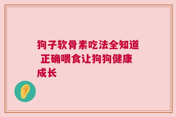 狗子软骨素吃法全知道 正确喂食让狗狗健康成长