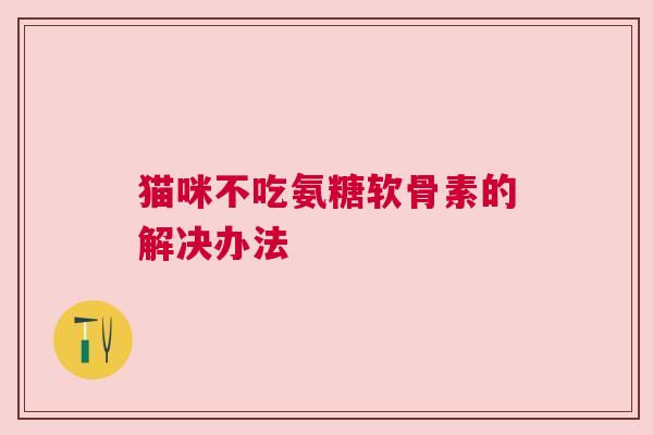 猫咪不吃氨糖软骨素的解决办法