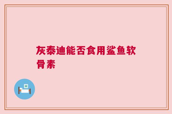 灰泰迪能否食用鲨鱼软骨素