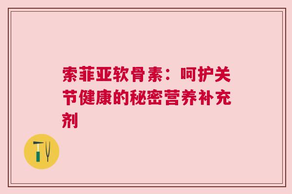 索菲亚软骨素：呵护关节健康的秘密营养补充剂