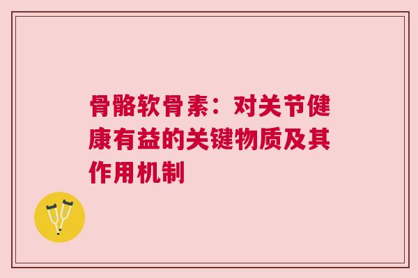 骨骼软骨素：对关节健康有益的关键物质及其作用机制