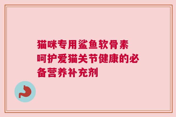 猫咪专用鲨鱼软骨素 呵护爱猫关节健康的必备营养补充剂