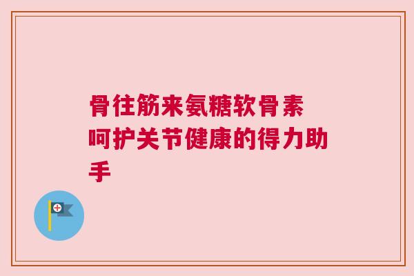 骨往筋来氨糖软骨素 呵护关节健康的得力助手