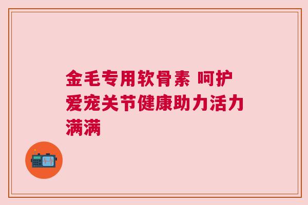 金毛专用软骨素 呵护爱宠关节健康助力活力满满