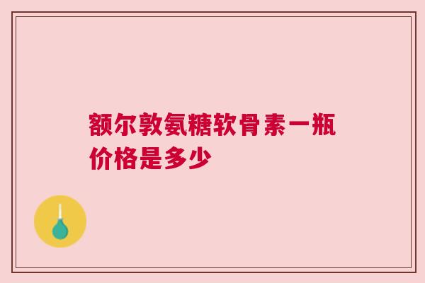 额尔敦氨糖软骨素一瓶价格是多少
