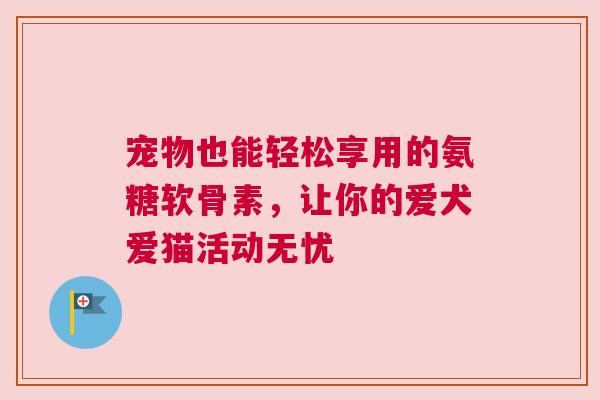宠物也能轻松享用的氨糖软骨素，让你的爱犬爱猫活动无忧