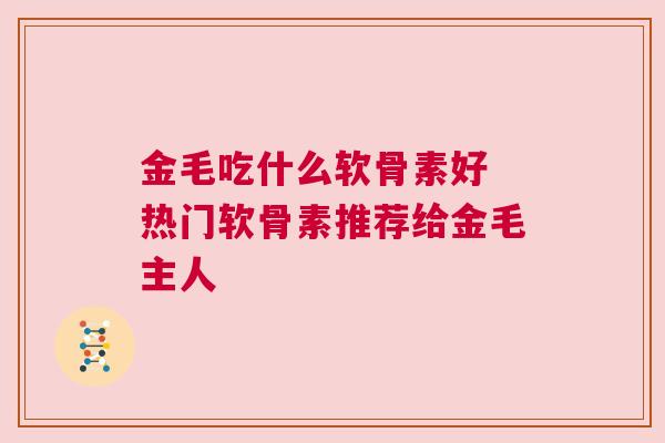 金毛吃什么软骨素好 热门软骨素推荐给金毛主人