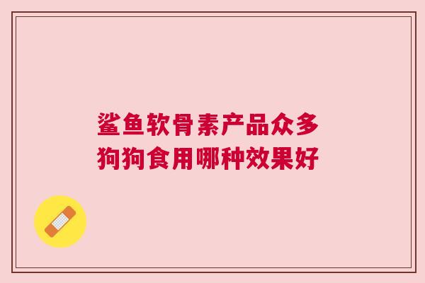 鲨鱼软骨素产品众多 狗狗食用哪种效果好