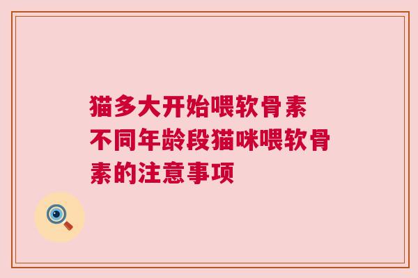 猫多大开始喂软骨素 不同年龄段猫咪喂软骨素的注意事项